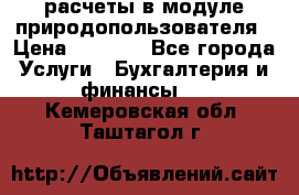 расчеты в модуле природопользователя › Цена ­ 3 000 - Все города Услуги » Бухгалтерия и финансы   . Кемеровская обл.,Таштагол г.